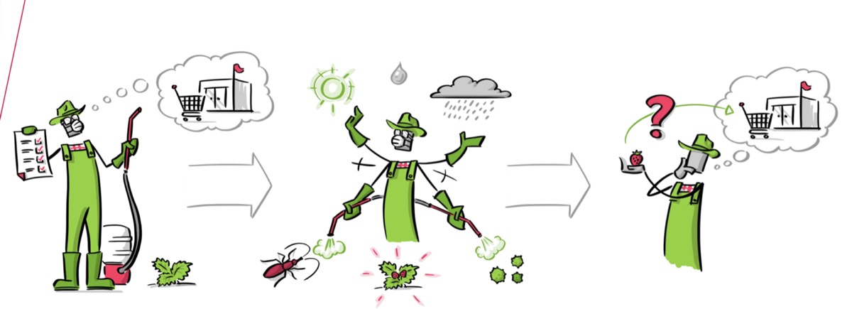 Illustration of a grower setting out with a spray plan, overwhelmed by pests, weeds and weather, then left unsure whether the harvest meets residue limits.
